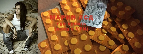 ГАЛЛЮЦИНОГЕННЫЕ ГРИБЫ Медногорск