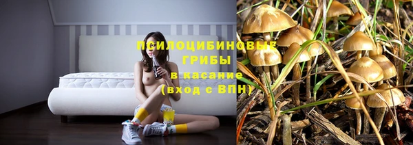 метадон Арсеньев