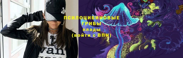 гидра Армянск