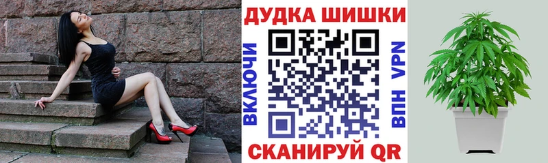 где купить наркотик Сясьстрой Бошки Шишки планчик